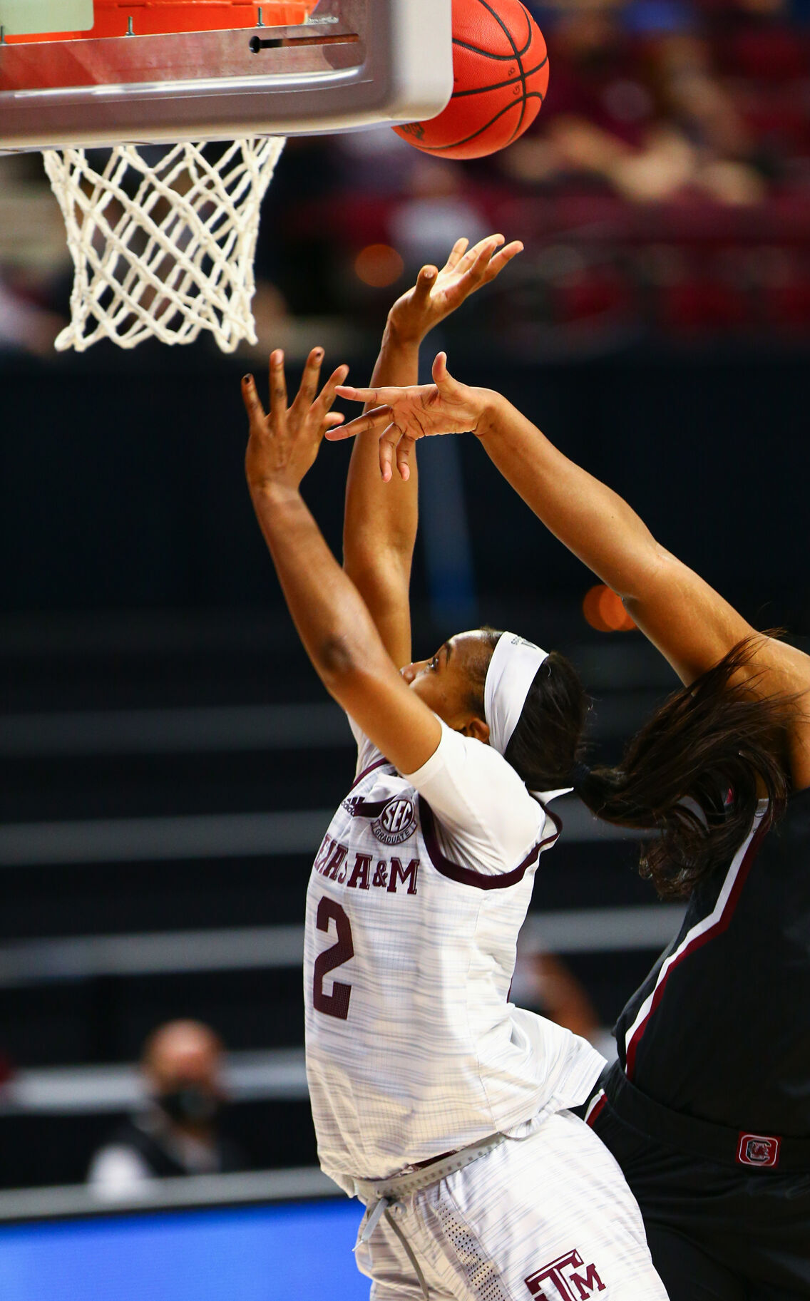 Women's basketball vs. South Carolina